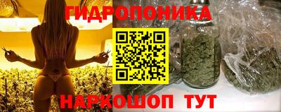 прущие грибы Добрянка