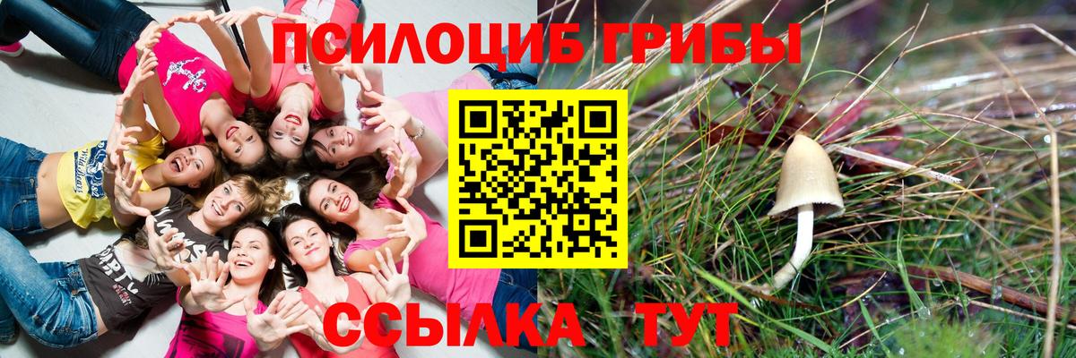 Псилоцибиновые грибы Psilocybine cubensis  Вход с VPN  Сертолово 